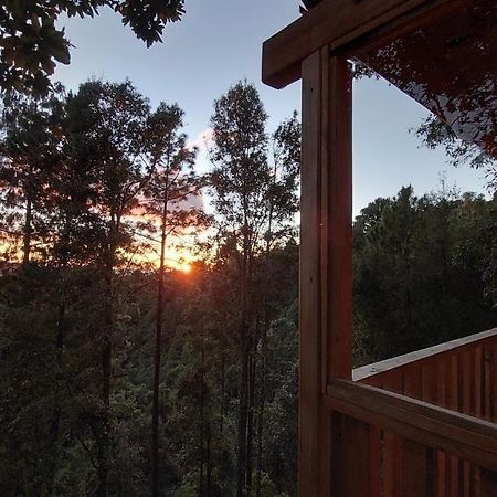 Cabana En El Bosque De San Jose Del Pacifico 外观 照片