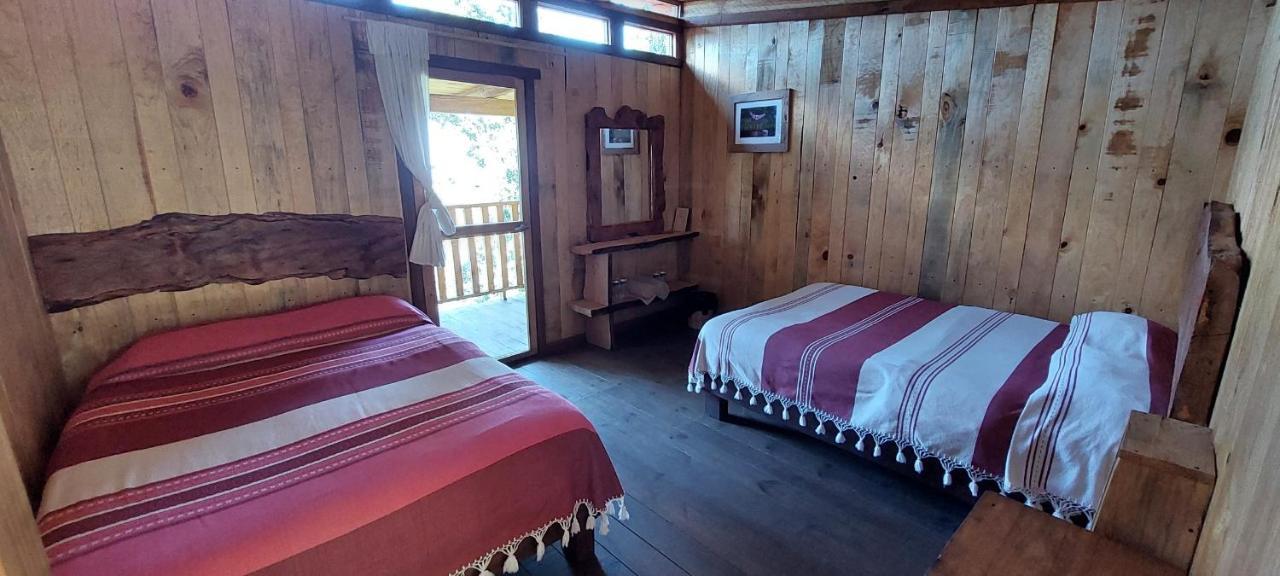 Cabana En El Bosque De San Jose Del Pacifico 外观 照片
