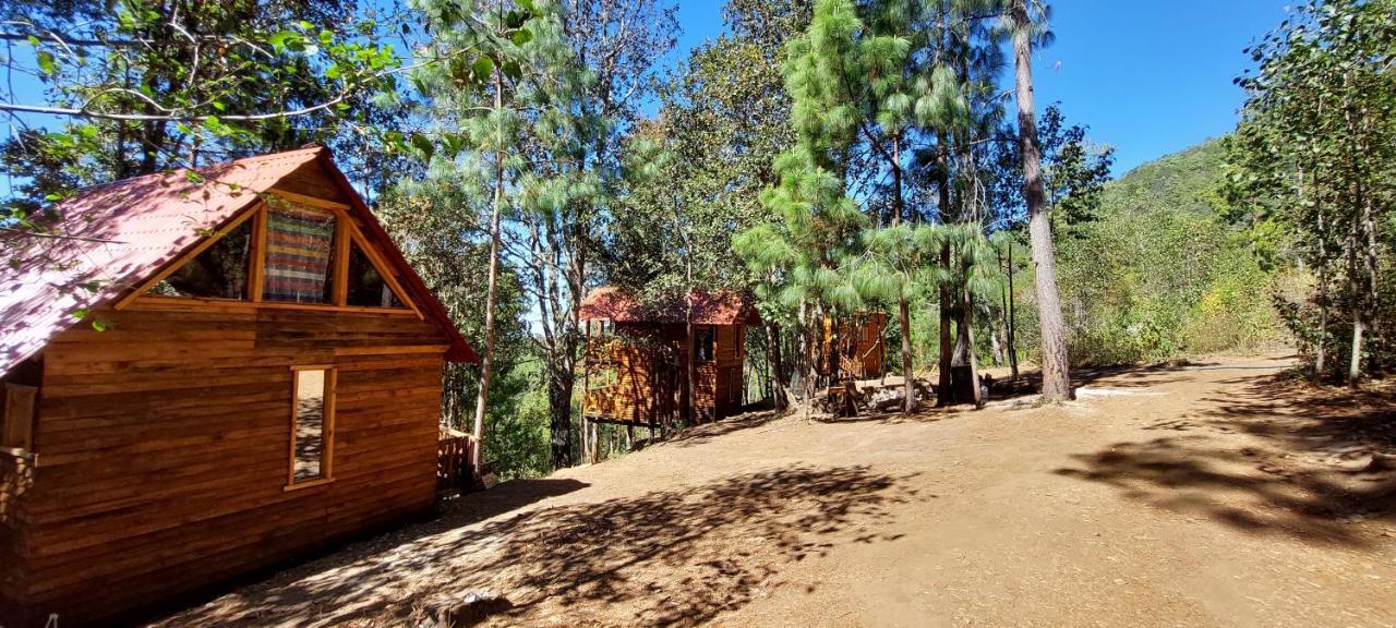 Cabana En El Bosque De San Jose Del Pacifico 外观 照片