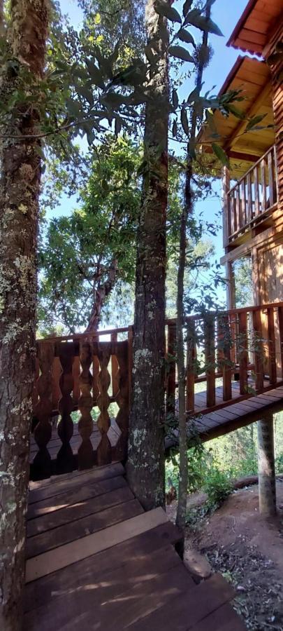 Cabana En El Bosque De San Jose Del Pacifico 外观 照片